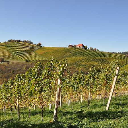 Ratsch an der Weinstraße Weingut Koegl Bed & Breakfast エクステリア 写真