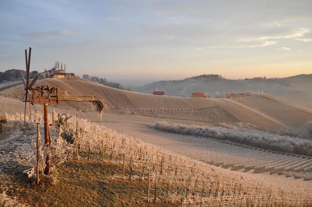 Ratsch an der Weinstraße Weingut Koegl Bed & Breakfast エクステリア 写真
