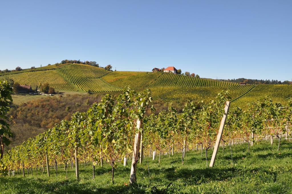 Ratsch an der Weinstraße Weingut Koegl Bed & Breakfast エクステリア 写真